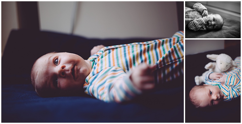 Wilf_0001